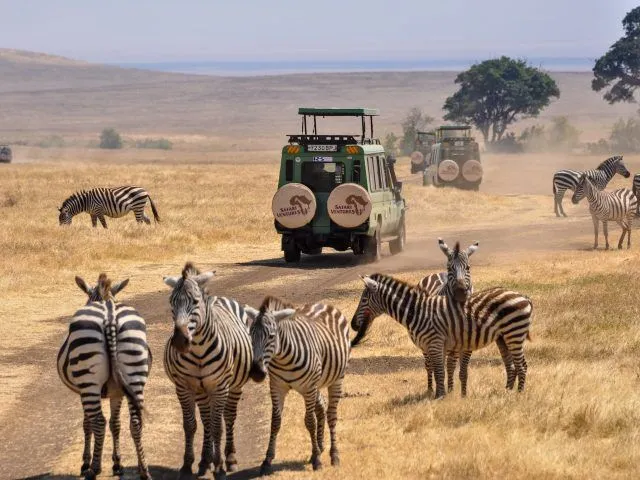 safari tour packages in tanzania